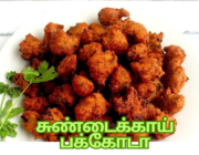 sundaikkai-pakoda