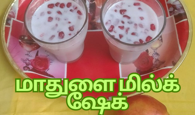 Pomegranate Milkshake
